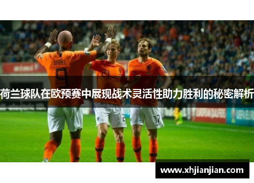 荷兰球队在欧预赛中展现战术灵活性助力胜利的秘密解析