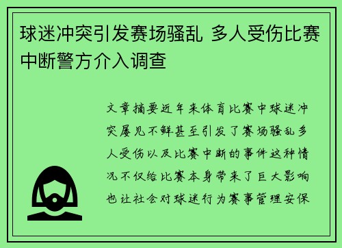 球迷冲突引发赛场骚乱 多人受伤比赛中断警方介入调查
