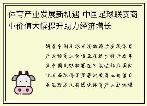 体育产业发展新机遇 中国足球联赛商业价值大幅提升助力经济增长